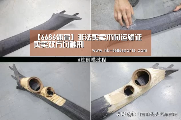 【6686体育】非法买卖木材运输证 买卖双方均触刑(图4) 6686体育