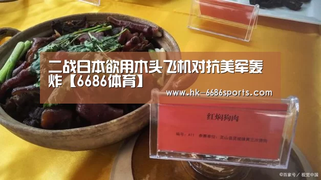 二战日本欲用木头飞机对抗美军轰炸【6686体育】(图2) 6686体育