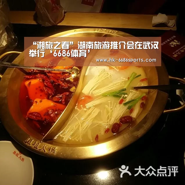 “湘旅之春”湖南旅游推介会在武汉举行‘6686体育’(图1) 6686体育