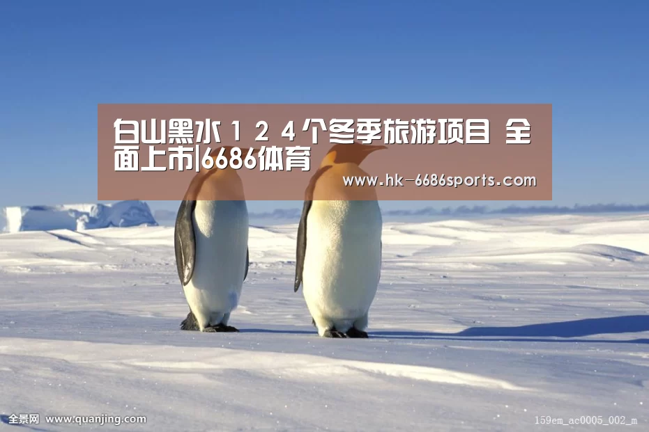 6686体育